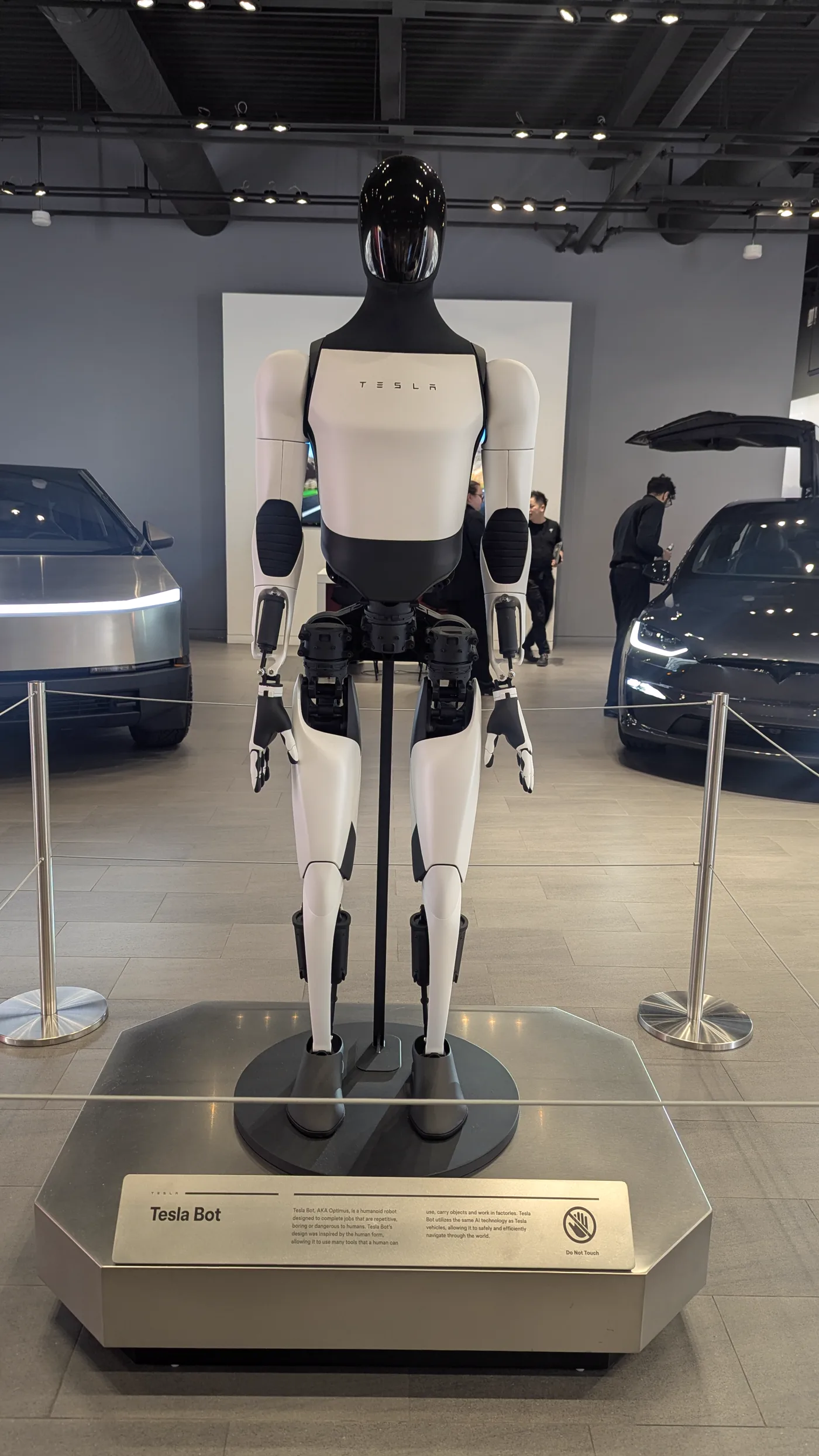 Tesla Optimus displayed in a showroom, Wikimedia Commons image under CC BY-SA license