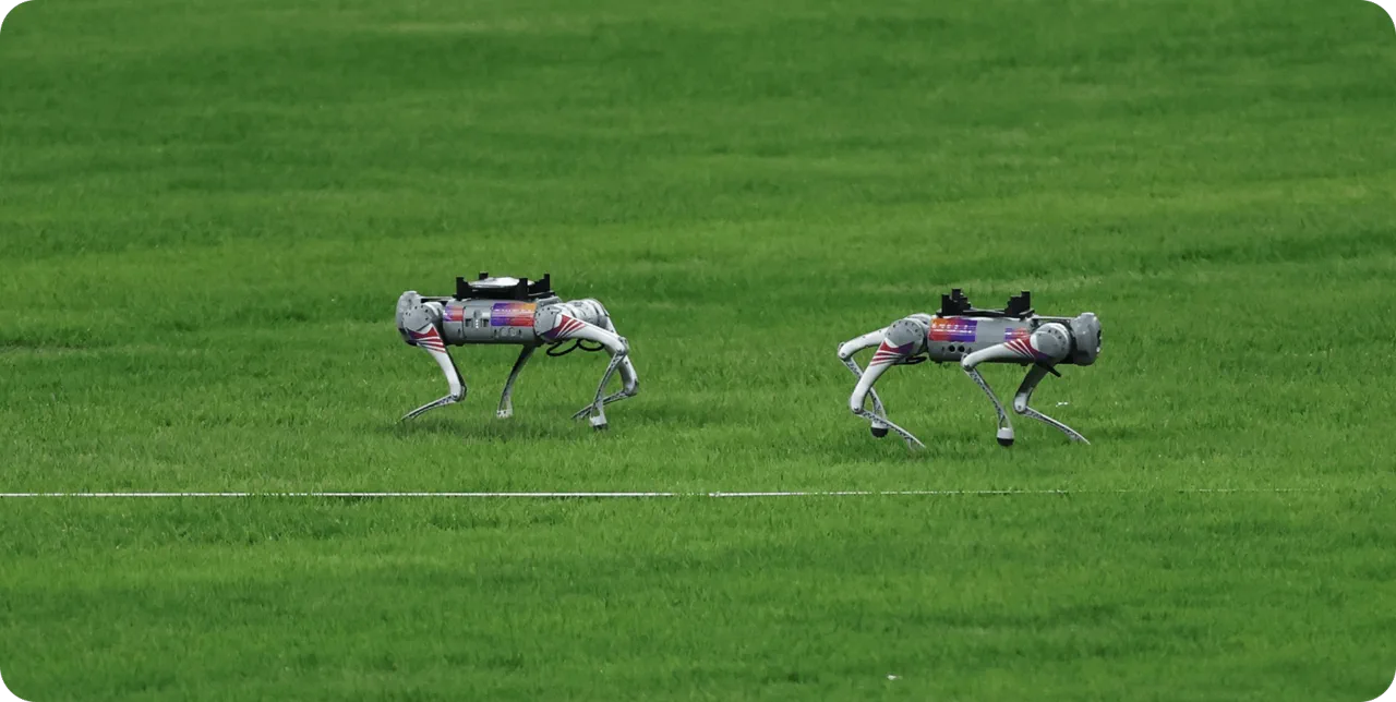 Unitree Go2 outdoor demonstration, official Unitree Robotics image